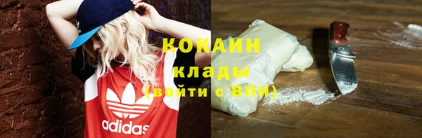 эйфоретик Вяземский