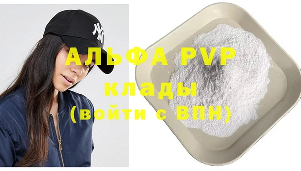 стаф Вязьма