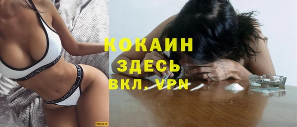 стаф Вязьма