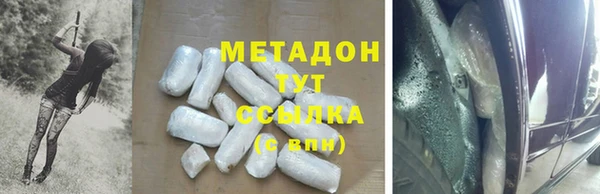 стаф Вязьма