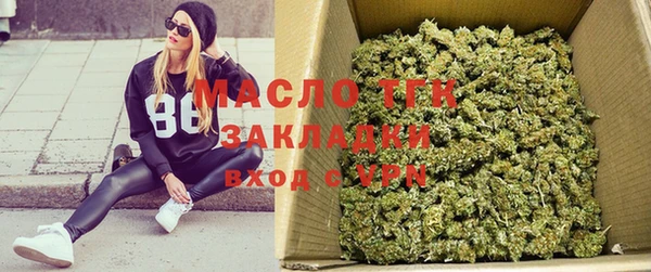 стаф Вязьма