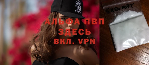 стаф Вязьма