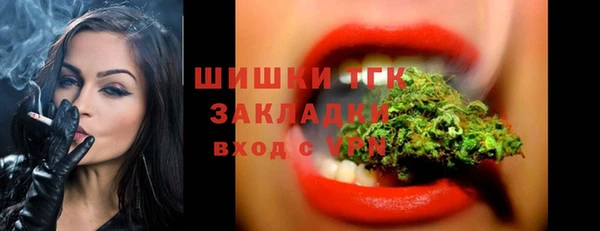 эйфоретик Вяземский