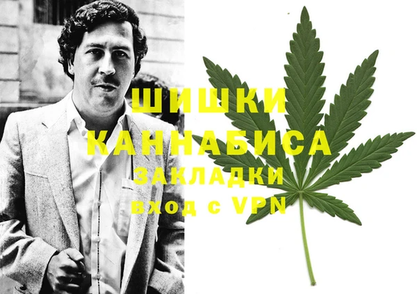 стаф Вязьма