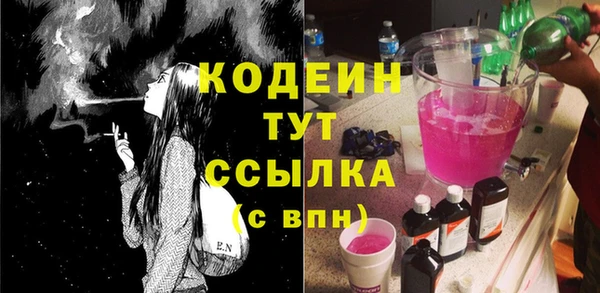 эйфоретик Вяземский