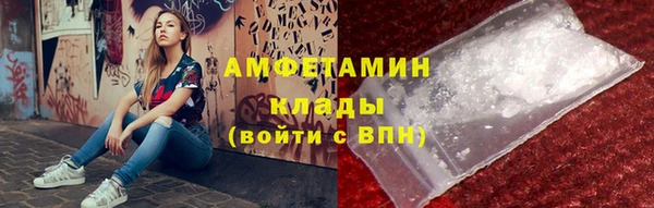 стаф Вязьма