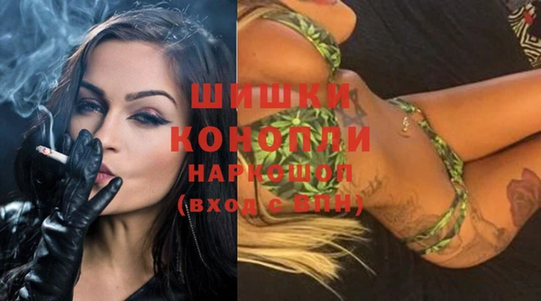 стаф Вязьма