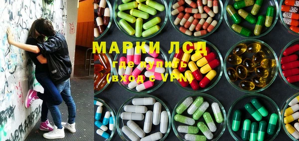 эйфоретик Вяземский