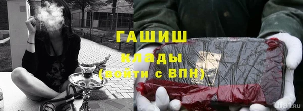 стаф Вязьма